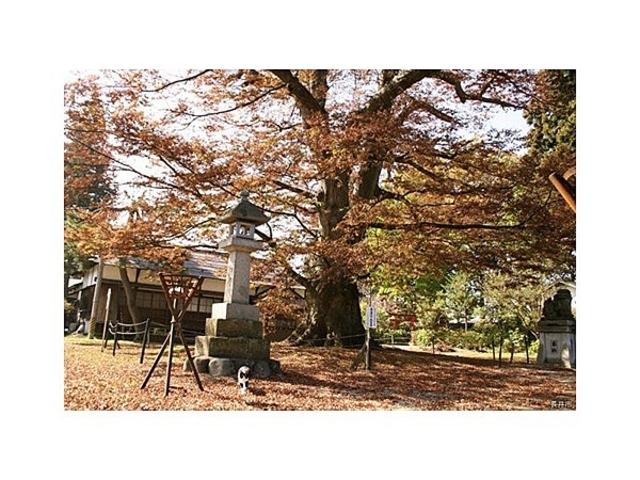 白山神社(山形県長井市)
