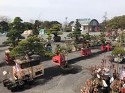 kenさんの稲佐山公園の投稿写真1