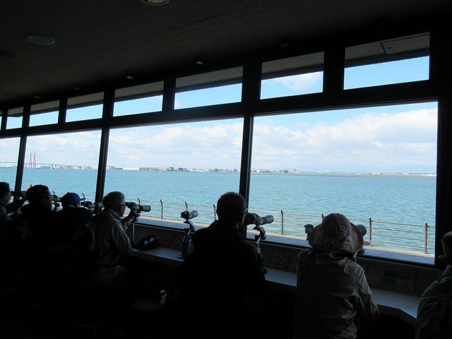 名古屋市野鳥観察館