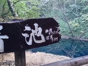 まいさんの白神の森遊山道の投稿写真1