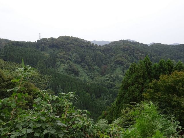 七尾城山_七尾城山