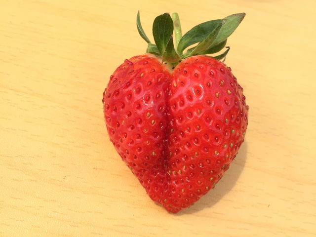 ハートの苺も見つけました_金城いちご園