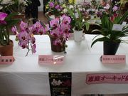 たかちゃんさんの恵庭シェアサイクルえにくるの投稿写真2