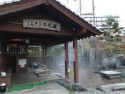 シトラさんの立願寺公園(しらさぎの足湯)の投稿写真2