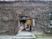 しちのすけさんのアイビー学館の投稿写真2