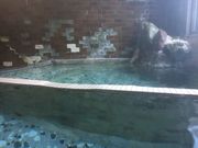 まさとんちんさんの梅ケ島温泉の投稿写真1