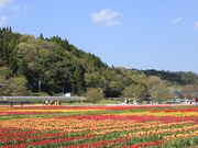 Pちゃんさんの道の駅 原尻の滝の投稿写真1