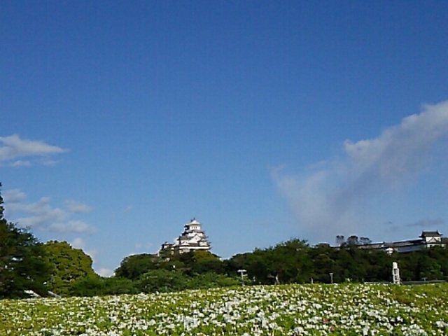 文学館から姫路城を望む_姫路文学館