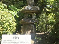 マスタードさんの三島市立公園 楽寿園への投稿写真1