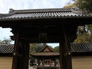 Yanwenliさんの大宝神社の投稿写真3