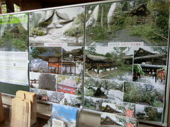 やんまあさんの平野神社への投稿写真1