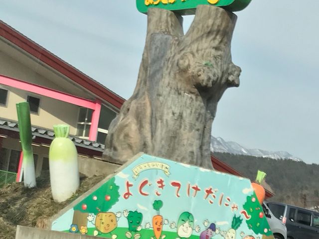 写真_よってけポポラ