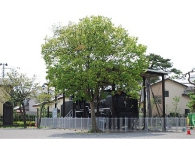 お子様連れで賑わっている公園です!_東公園
