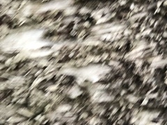 長崎鼻の写真1