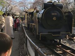 小田原城の写真1