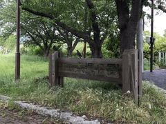 ぴくみんさんの木場公園への投稿写真1