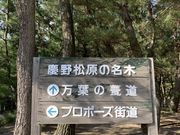 あきちゃんさんのプロポーズ瓦の投稿写真1