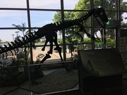 faranさんのドリーム21の投稿写真2