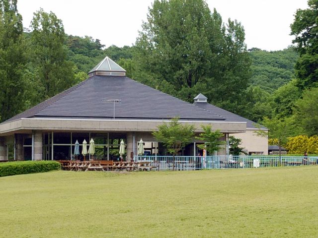 芝生の向こうに有ります_ぐんまこどもの国 レストハウス