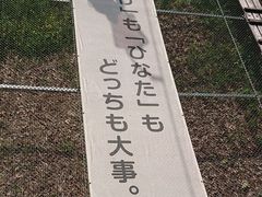 松山城ロープウェイ・リフトの写真1