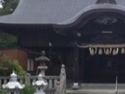 アクセルゼンカイさんの住吉神社の投稿写真1