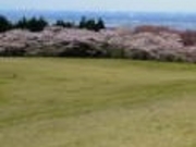 アクセルゼンカイさんの旭山の投稿写真1