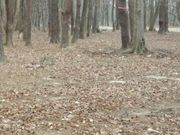 アクセルゼンカイさんの南相馬市馬事公苑の投稿写真1