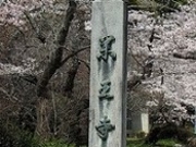 アクセルゼンカイさんの薬王寺の投稿写真1