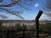 つねさんの勝山城址の投稿写真1