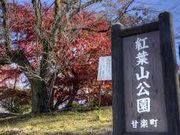 わかぶーさんの紅葉山公園の投稿写真1