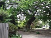 じんちゃんさんの玉泉院の投稿写真1