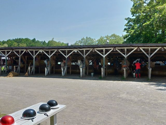 お馬さん方は綺麗にしてもらい出番を待っています^^_フラノトレッキングサポート遊馬