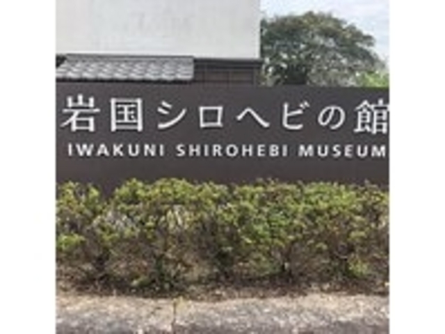 シロヘビの館_岩国シロヘビの館