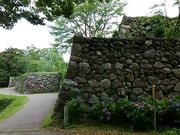 こぼらさんの田丸城跡の投稿写真1