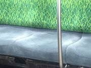 ややさんの東急田園都市線宮前平駅の投稿写真1