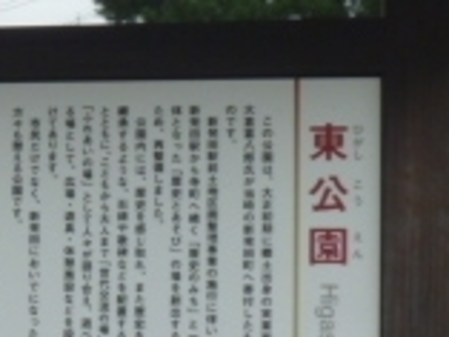 東公園_東公園