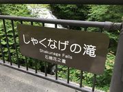 ドリルとゆう子さんのしゃくなげの滝の投稿写真2