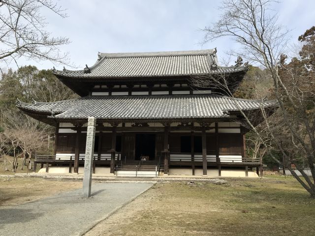 根来