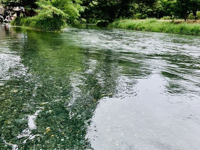 綺麗な川でした。_わんだあ えっぐ ネイチャー&レクリエーションズ