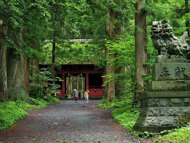 赤い随神門_奥社参道のスギ並木