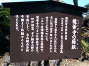 こんぱらさんの龍華寺の大ソテツの投稿写真1
