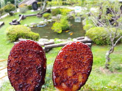 道の駅くんま水車の里の写真1