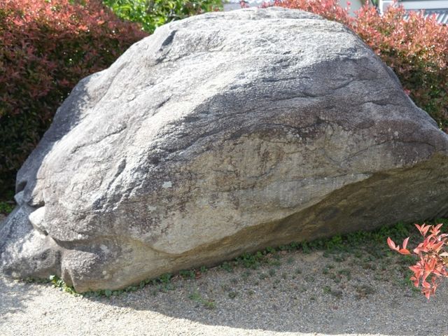 すごい_亀石