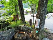 雷ちゃんさんの明治亭の投稿写真2