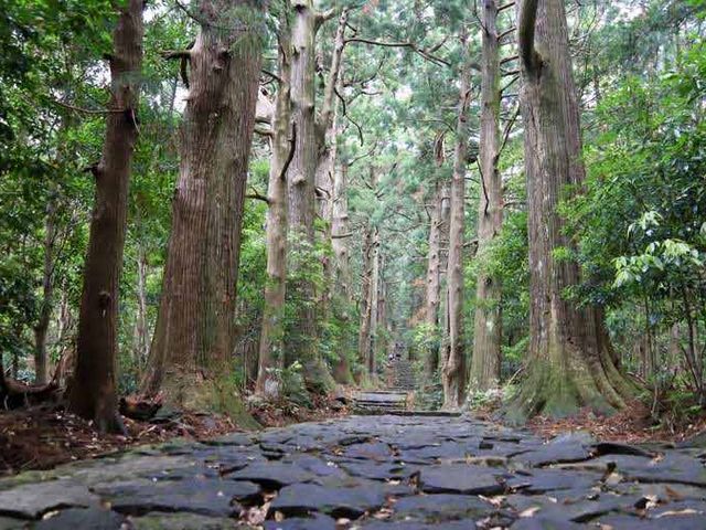 熊野古道大門_熊野参詣道 小辺路 (果無越え)