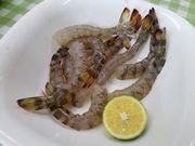 ぽんにょ♪さんの鳴門クルマエビ有限会社の投稿写真4