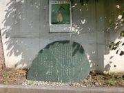 アッキさんの明見湖(蓮池)の投稿写真4