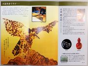 こぼらさんの山中片岡鶴太郎工藝館の投稿写真1