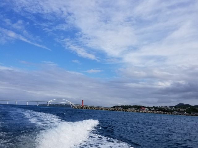 アシビーブルー