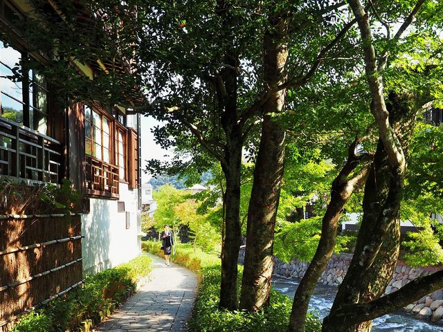 桂川の木陰_修善寺温泉
